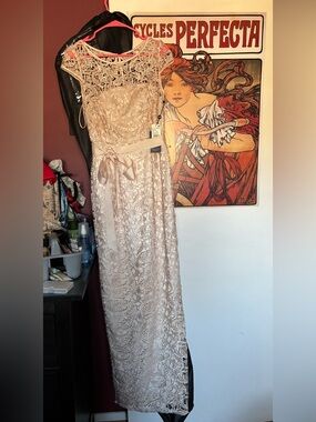 Elegant Adrianna Papell Lace Evening Dress in Almond—